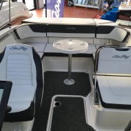 Sea Ray 210 SPXE.jpg